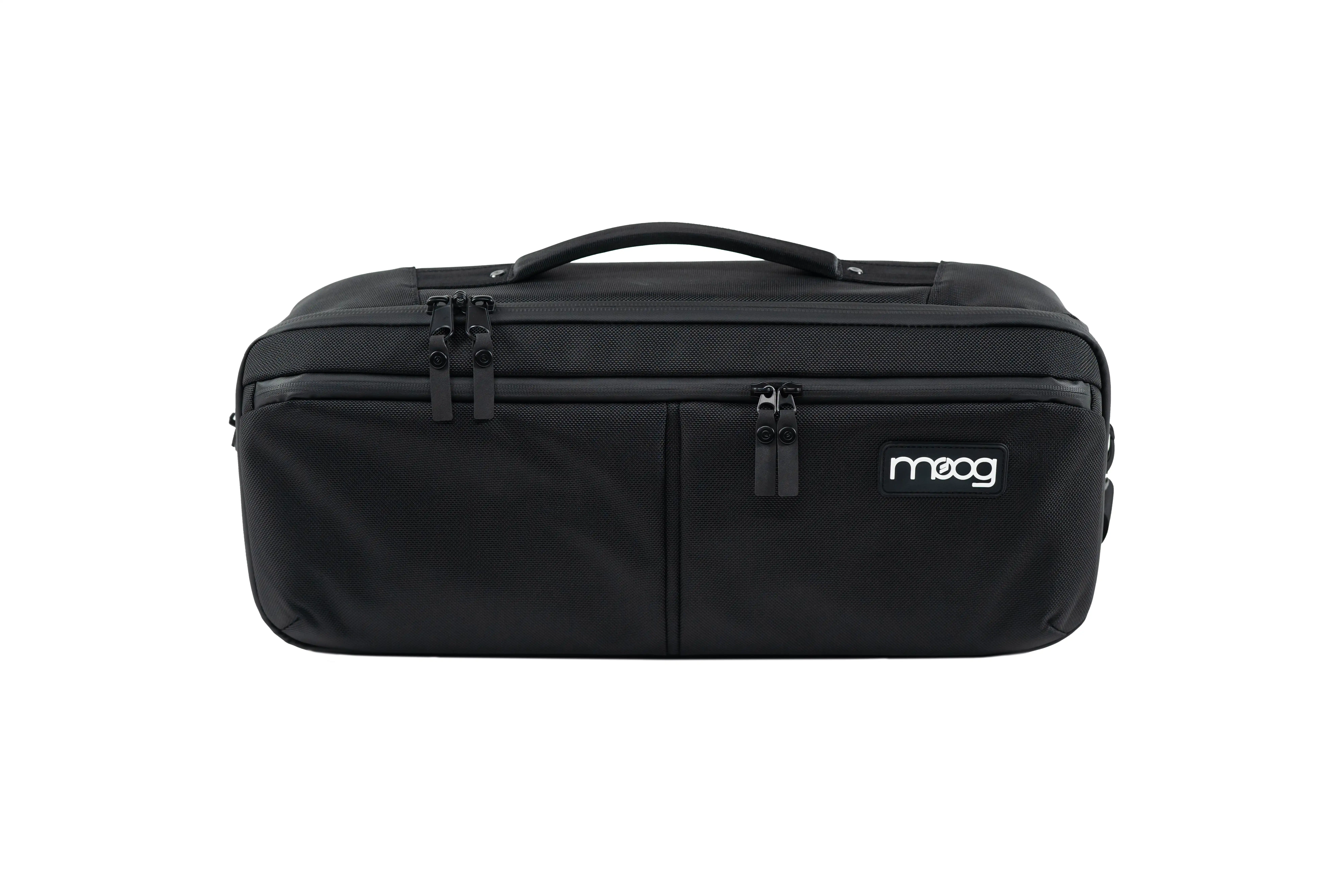 Moog Etherwave Theremin SR-Case