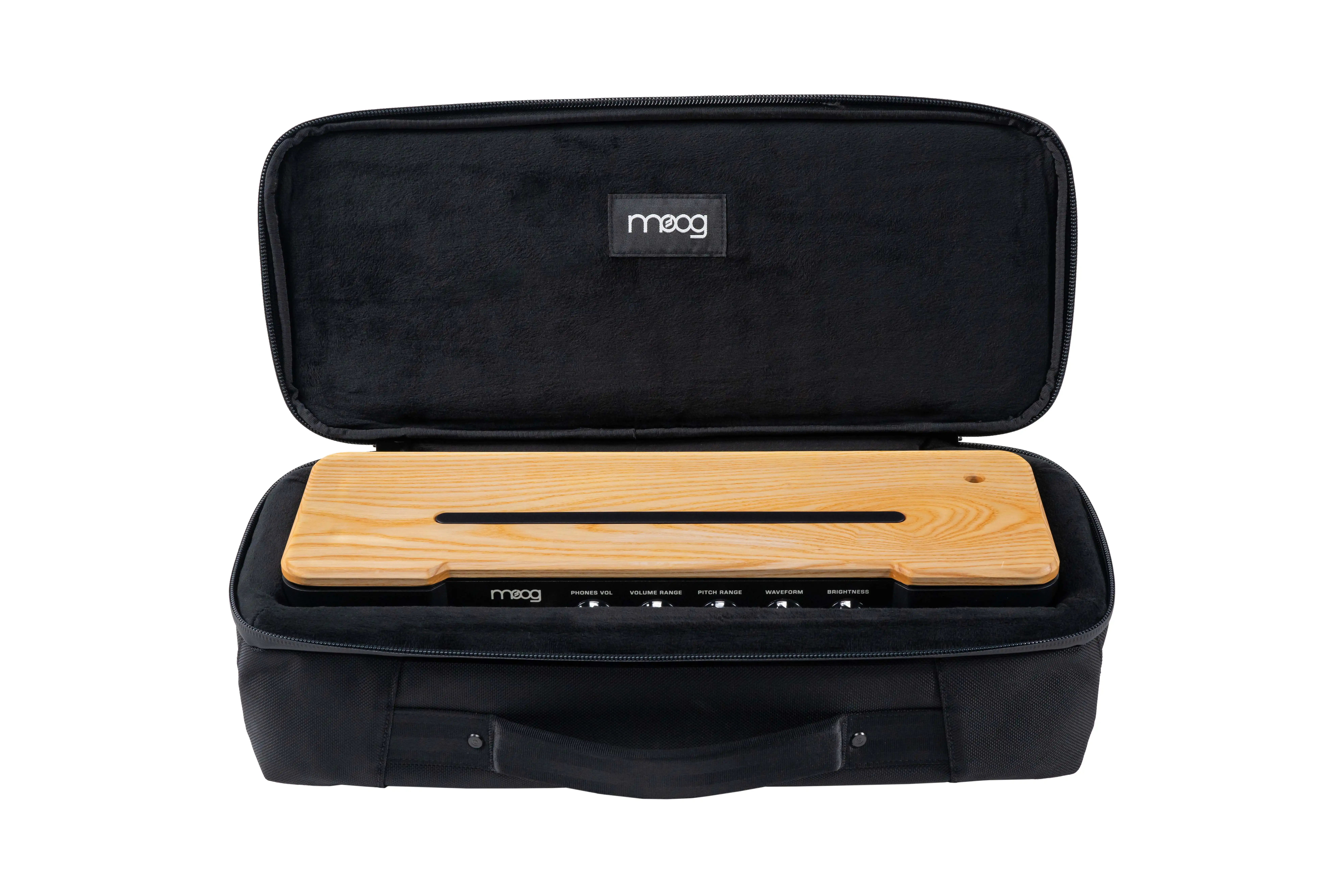 Moog Etherwave Theremin SR-Case