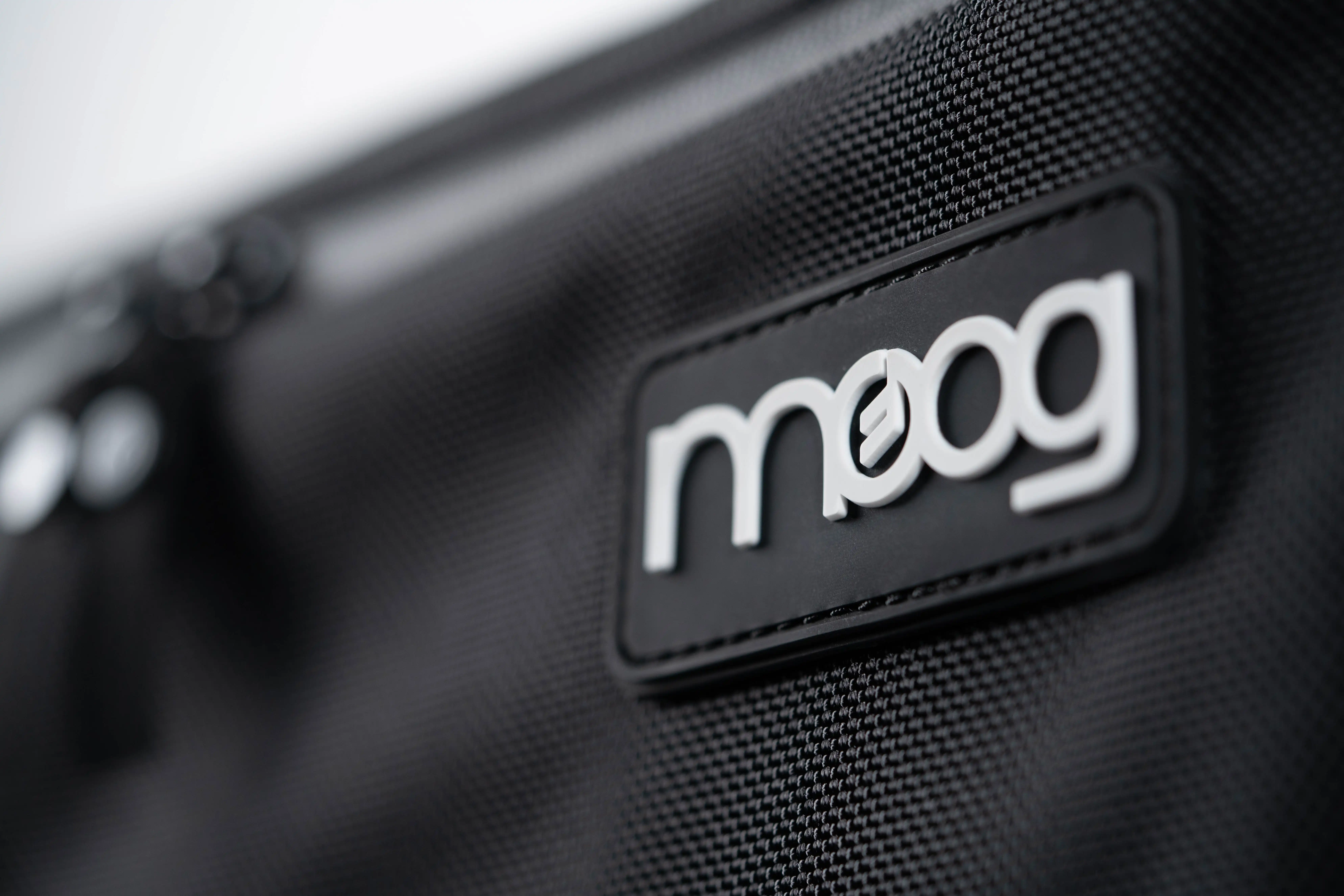 Moog Etherwave Theremin SR-Case