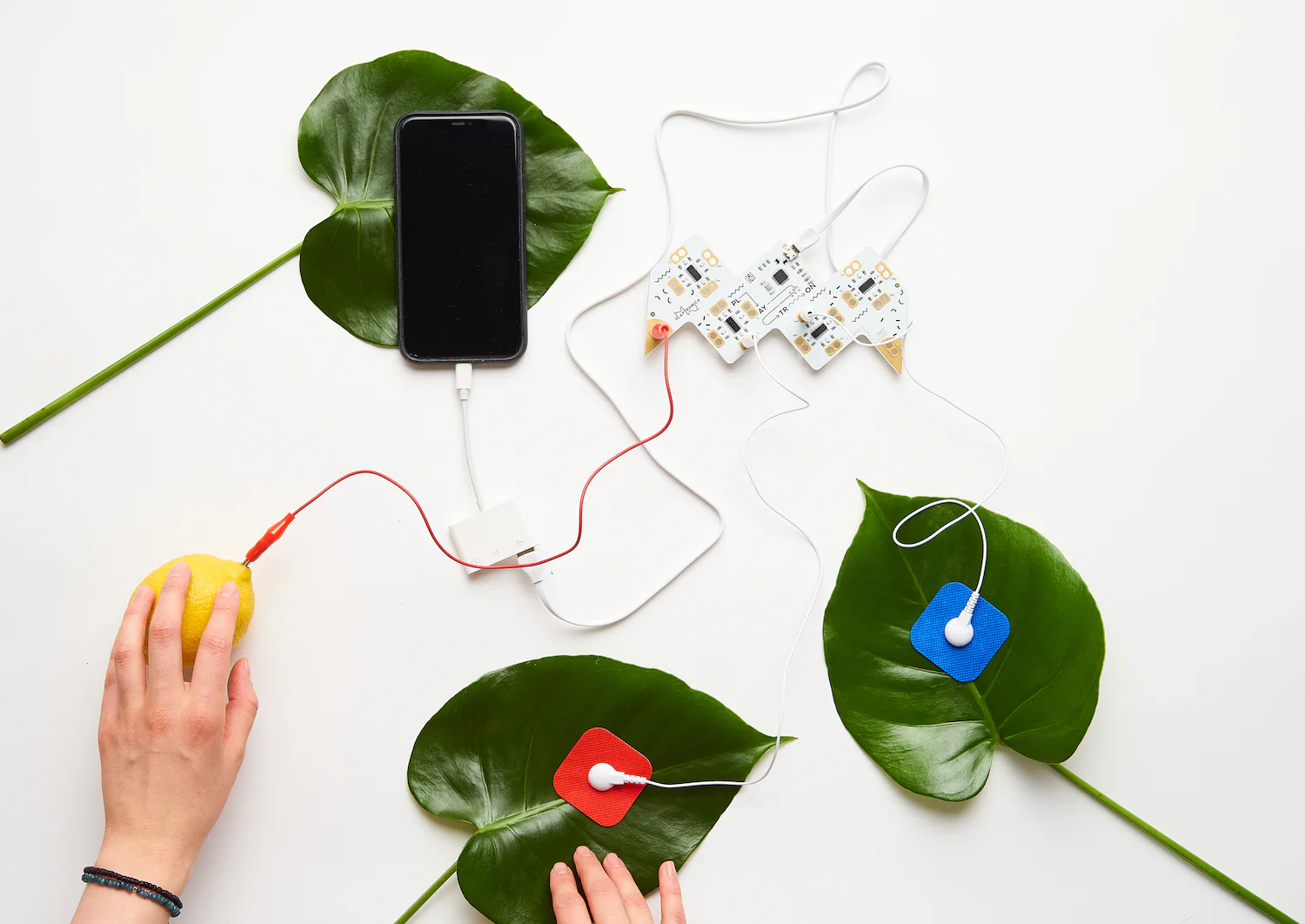 Playtronica Playtron