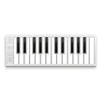 ESI Xkey 25 silver