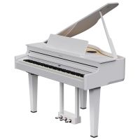 Roland GP-6 PW