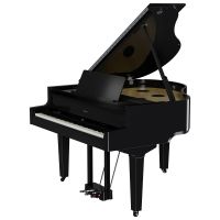 Roland GP-9 PE