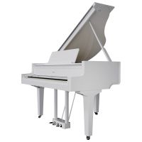Roland GP-9m PW
