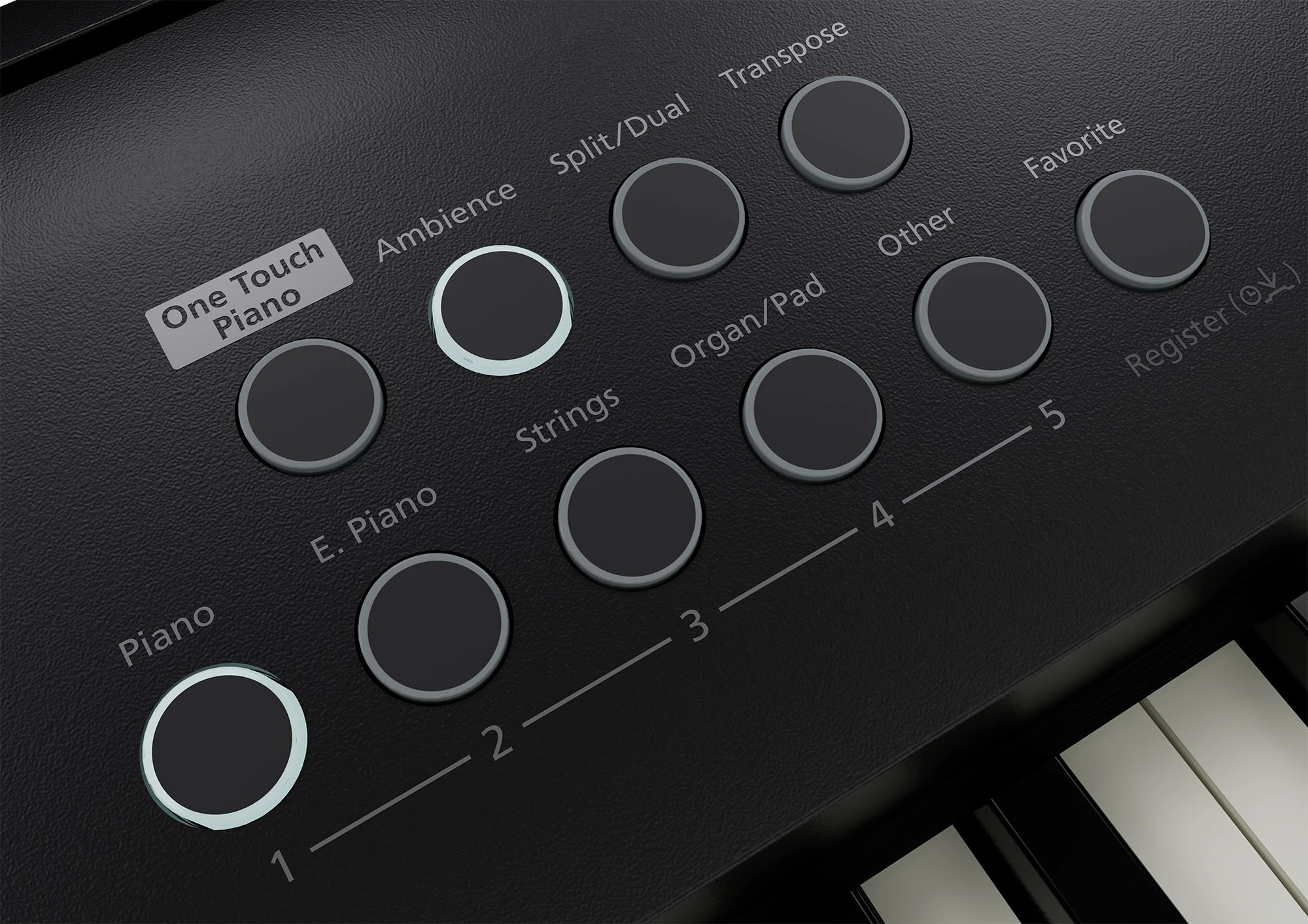 Roland FP-E50 Digitalpiano WARENRETOURE