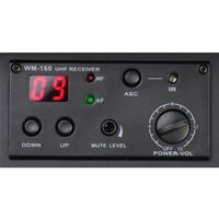 LD-Systems Roadman-102-R Empfängermodul