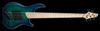 Dingwall Combustion 3 5-String Whalepool Burst