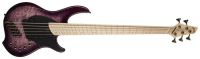 Dingwall Combustion 3 5-String Ultra Violet Burst