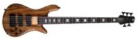 Spector ReBop5 DLX Zebrano gloss