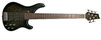 Sandberg Basic Ken Taylor 5 trans.blackburst