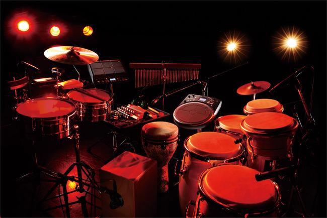 Roland HPD-20 Handsonic Hand Percussion