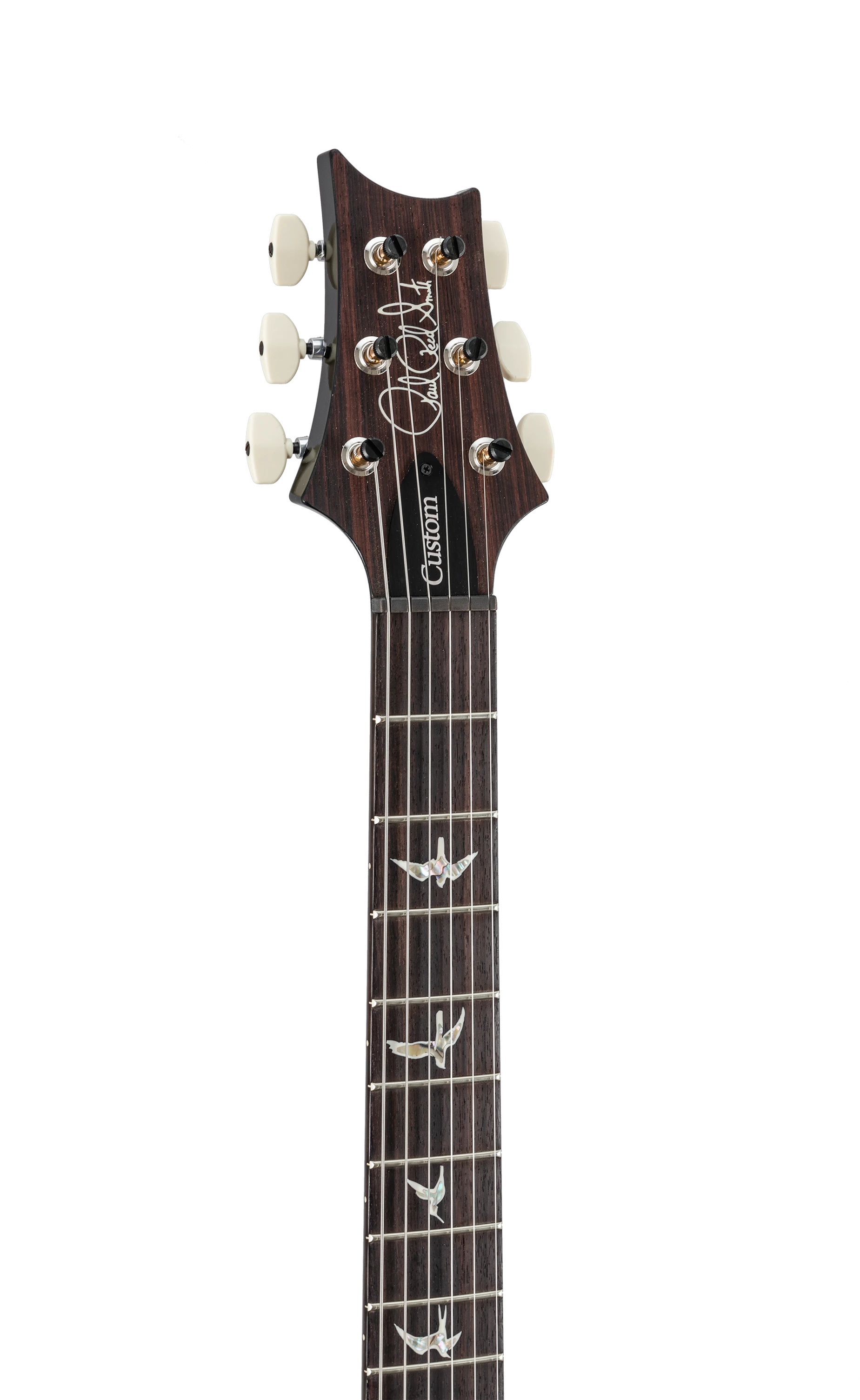 PRS Custom 24 10-Top faded whale blue