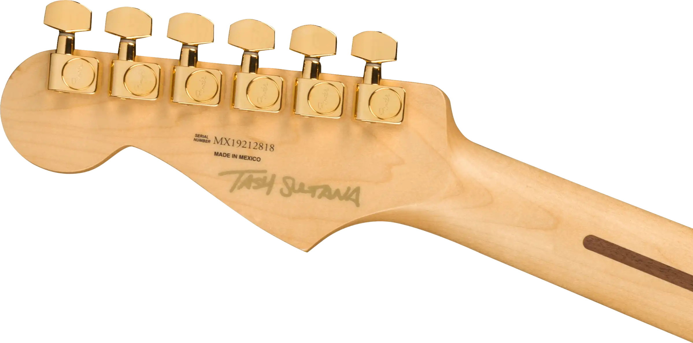 Fender Strat Tash Sultana trans cherry