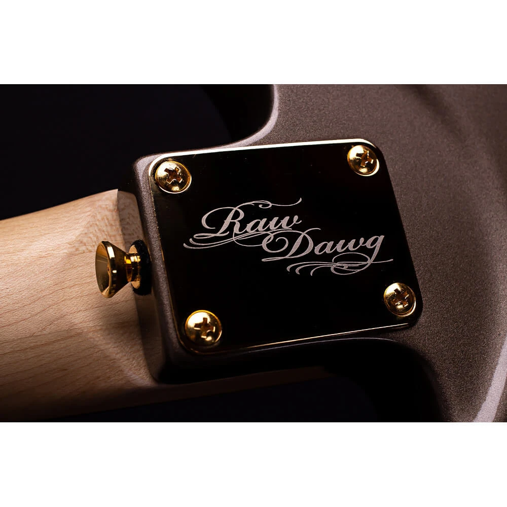 Magneto Guitars Eric Gales RD3 special gold