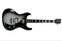 Dunable Guitars DE Gnarwhal Silverburst