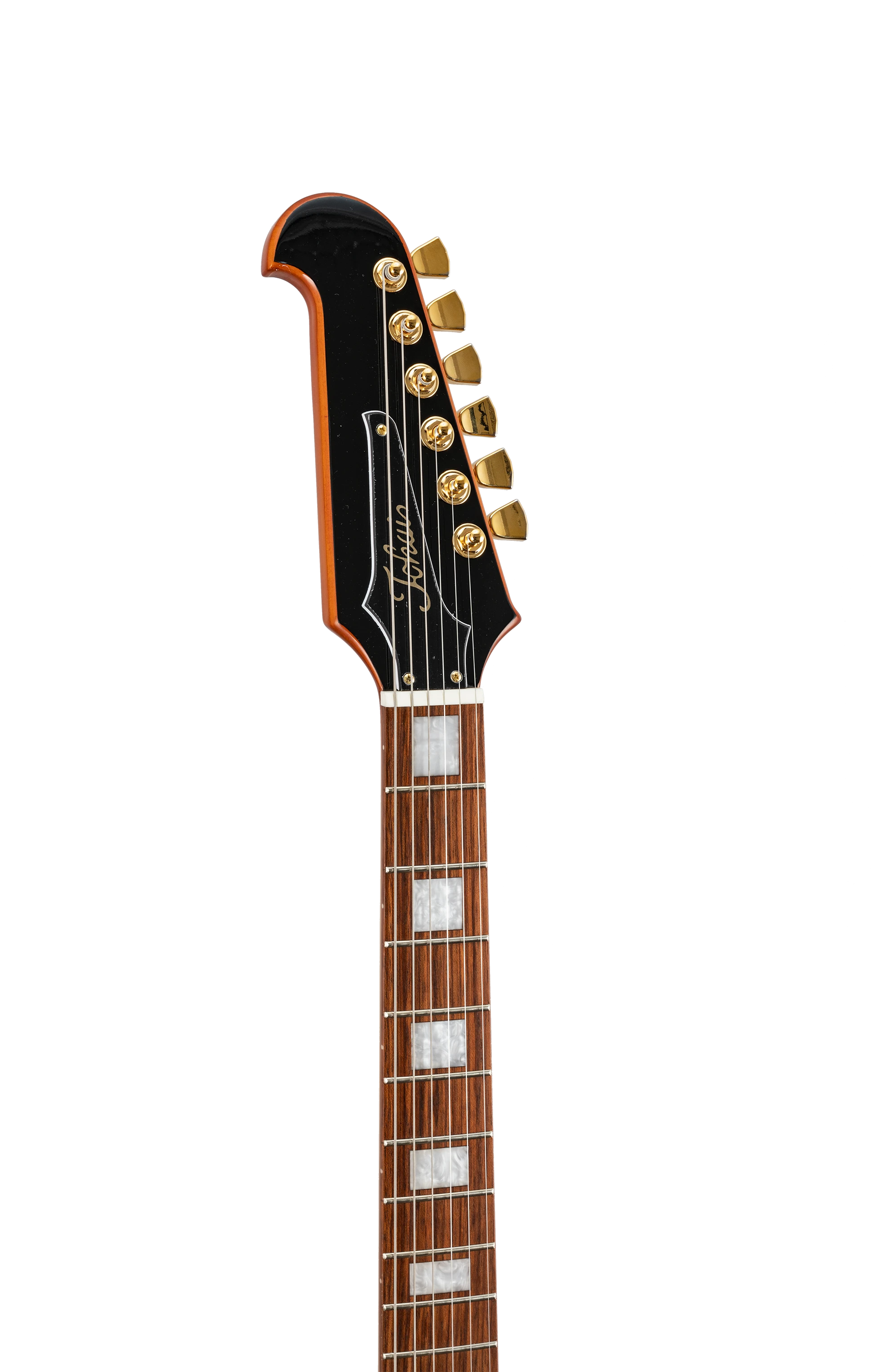 Tokai FB90 VS