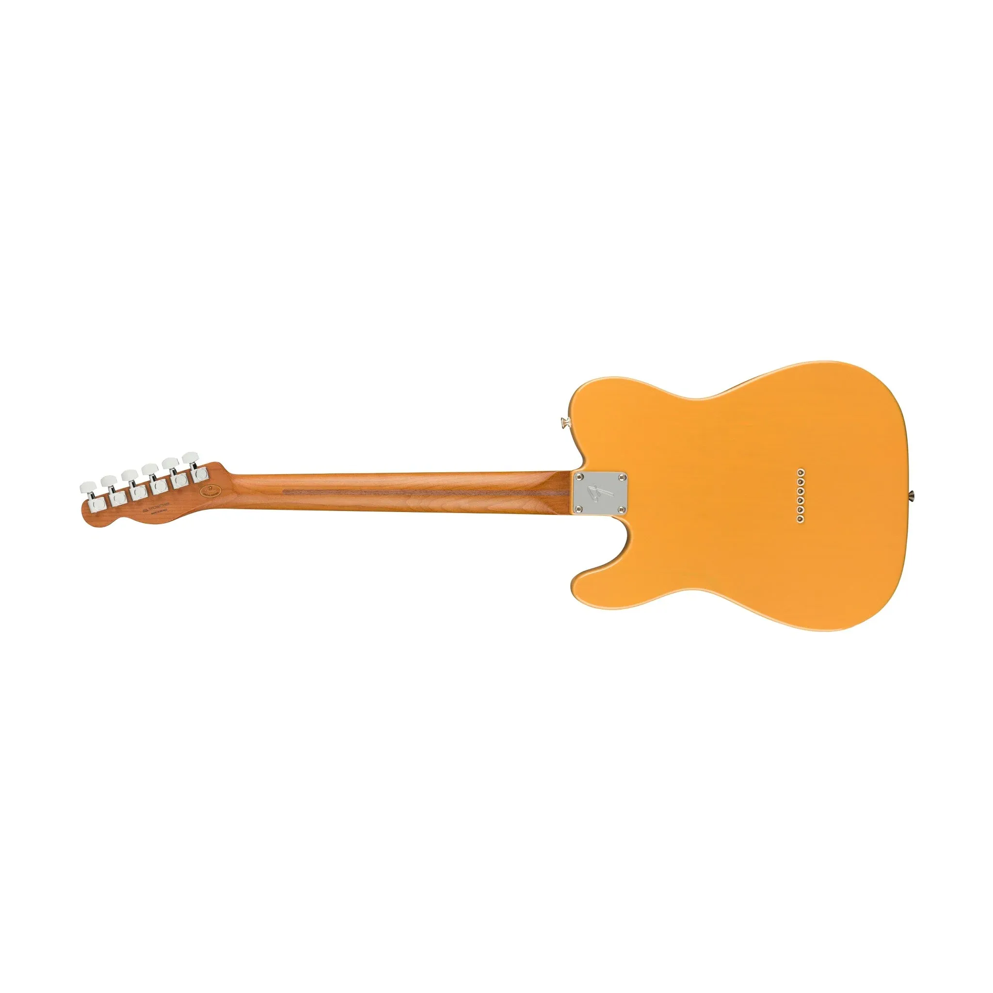 Fender Tele Player Roasted btb/mn