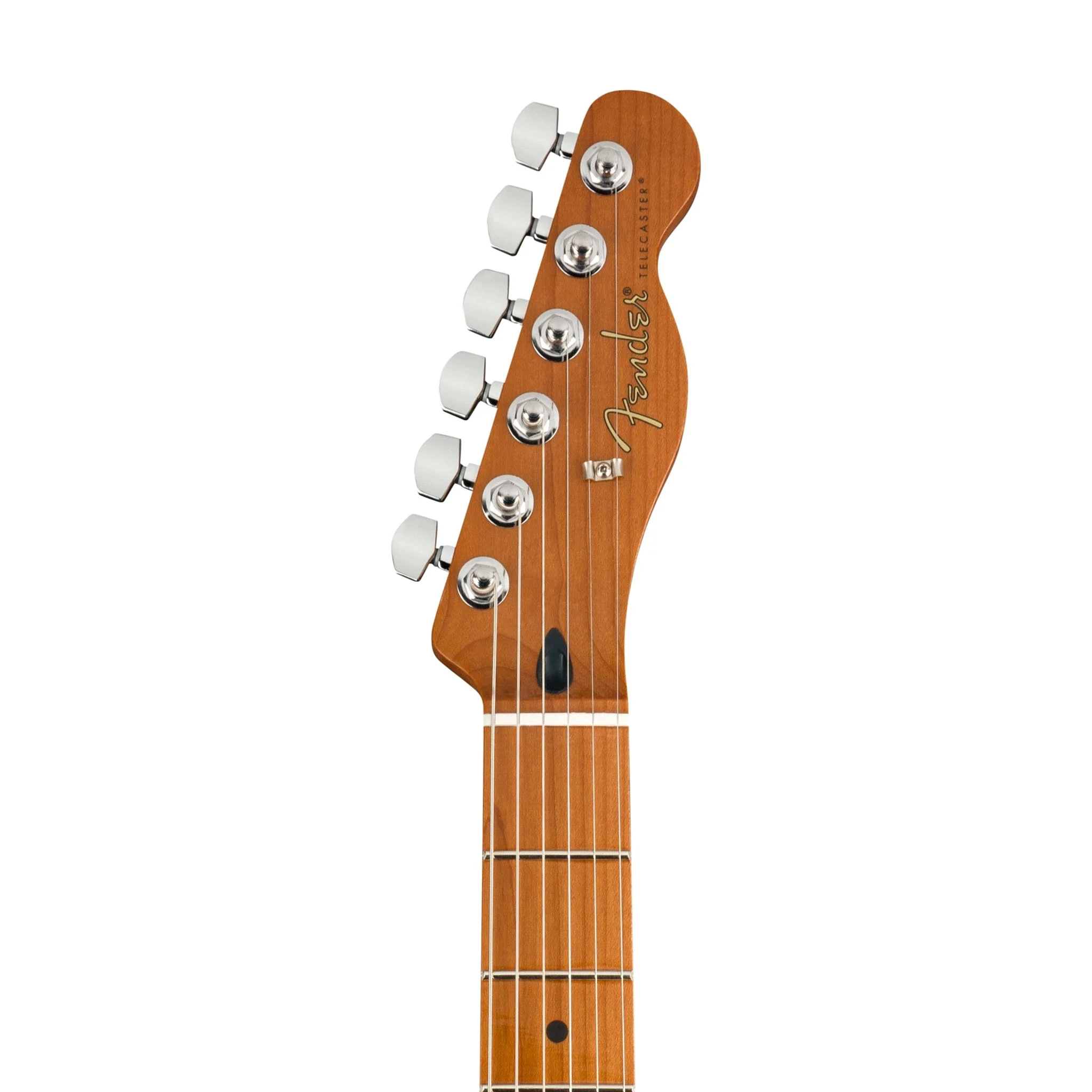 Fender Tele Player Roasted btb/mn