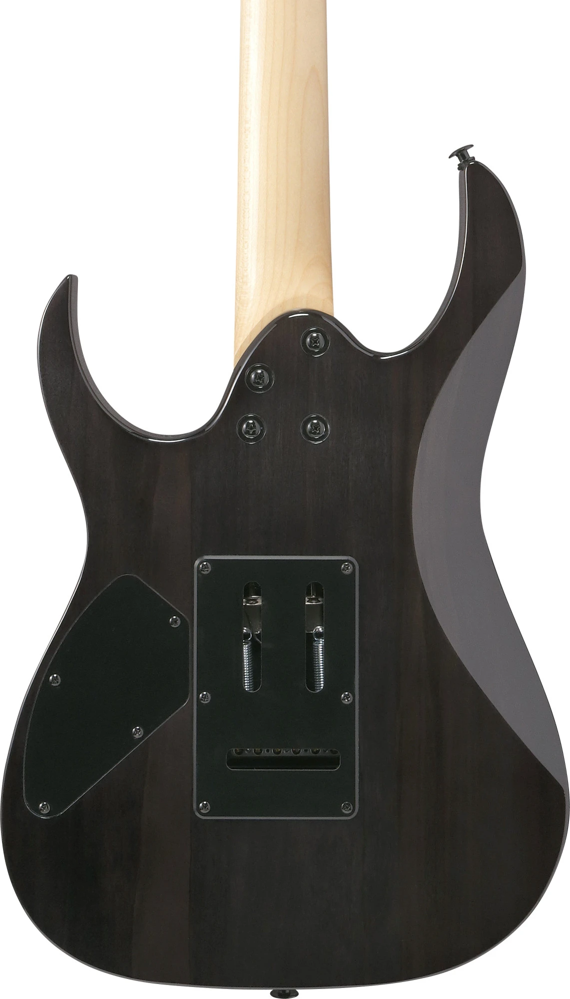 Ibanez GRG120QASPBKG black gradation