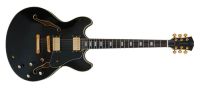 Sire Larry Carlton H7/BK