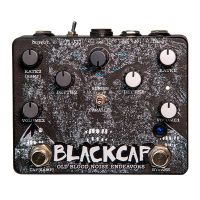 Old Blood Noise Blackcap Asynchronous Dual Tremolo B-Stock