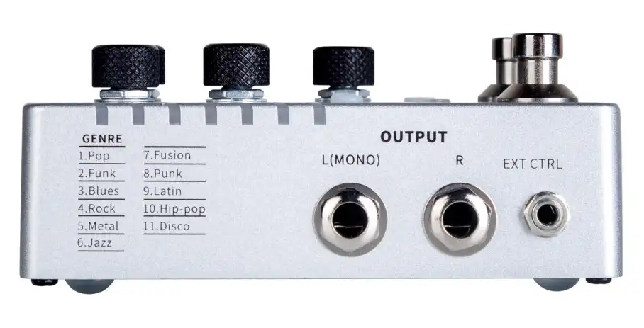 Mooer Groove Loop X2