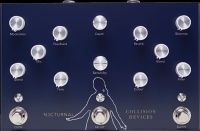 Collision Devices Nocturnal Reverb