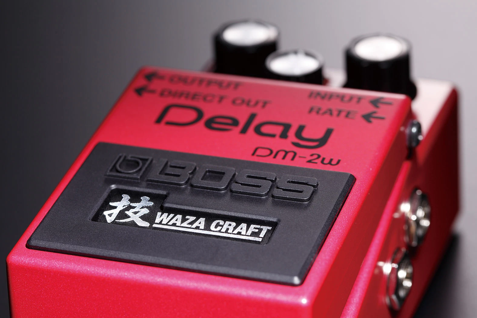 Boss DM-2W Analog-Delay