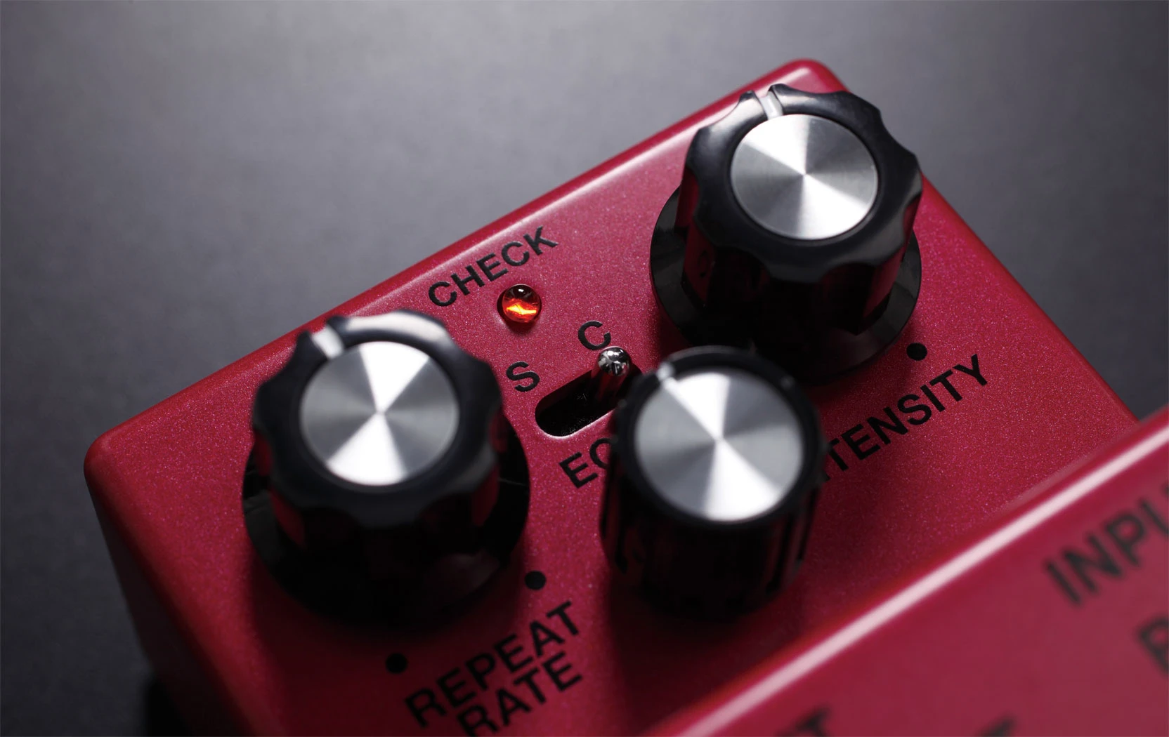 Boss DM-2W Analog-Delay