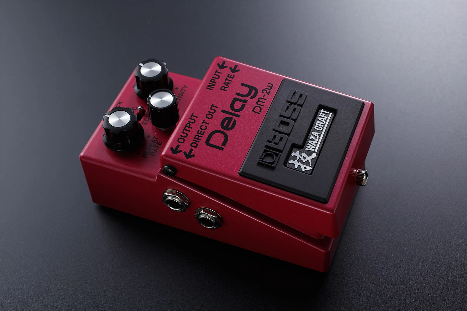 Boss DM-2W Analog-Delay