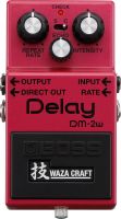 Boss DM-2W Analog-Delay