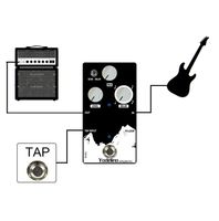 Servus! Pedale Yodelino Delay & Echo