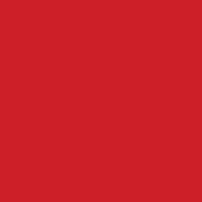 Cotech Color Sheet Rosco Fire 019