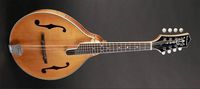 Richwood RMA-110-VS A-Style amber b