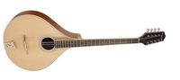 Richwood RIMA-40 Irish Mandola