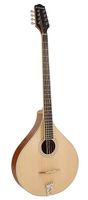 Richwood RIBZ-40 Irish Bouzouki