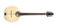 APC IRB305 Irish Bouzouki