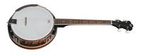 VGS Banjo Select 4-String