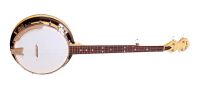 Gold Tone CC 100 R 5-String
