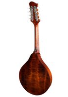 Eastman MD505CC/n