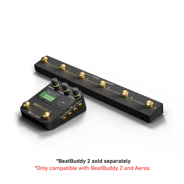 Singular Sound Super Switch