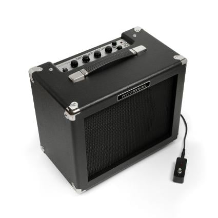Electro Harmonix Dirt Road Special Amp