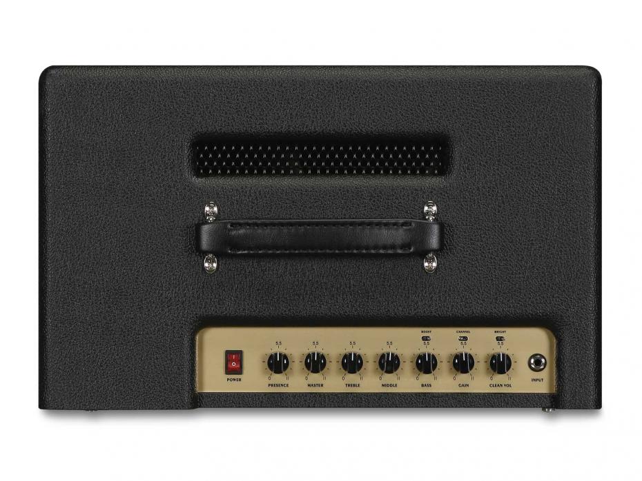 Friedman Runt 20 Combo