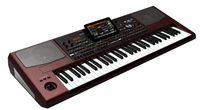 Korg PA-1000 Versandrückläufer