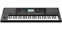 KORG PA-300