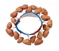 Afroton ATBR780 Tobillera Rassel Shaker