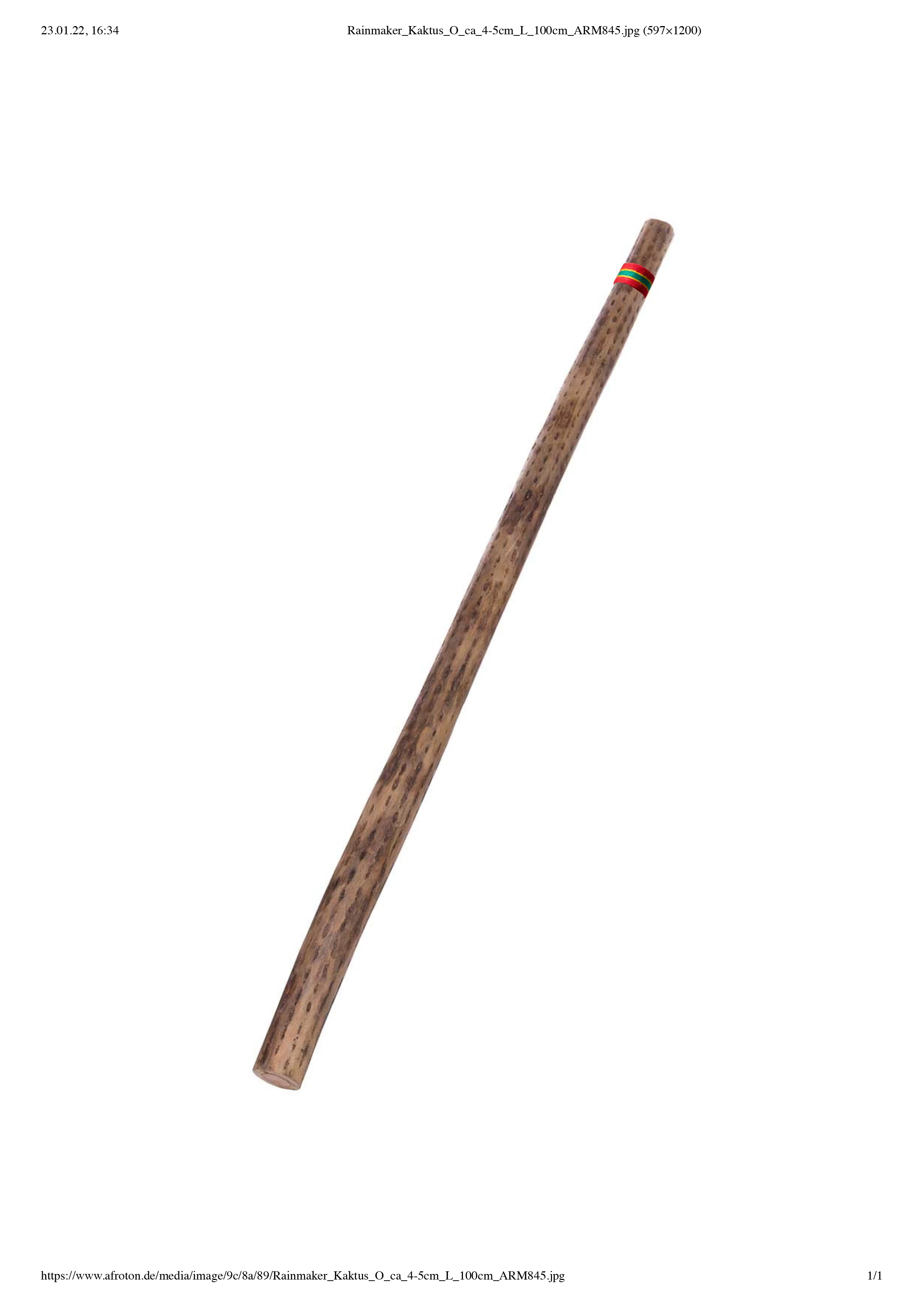 Afroton Rainmaker Kaktus dünn 100cm