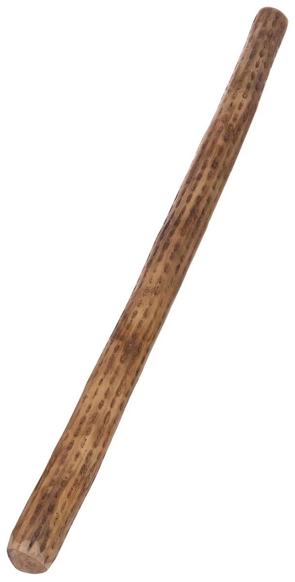 Afroton Rainmaker Kaktus dick 100cm