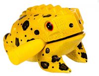Afroton Frosch Holz bunt 14cm