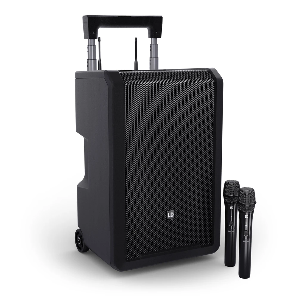 LD-Systems Anny-10-HHD2-B5